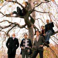click for White Rabbits tickets