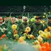 Super Furry Animals