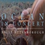 Ocean In Concert Tickets