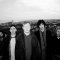 Abattoir Blues Tickets