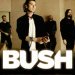 Bush Tickets