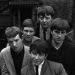 The Animals Tickets