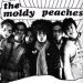 The Moldy Peaches Tickets