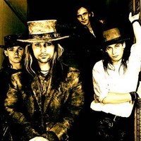 Fields Of The Nephilim merchandise