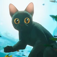 Flow Live In Concert Tickets