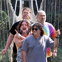 Hayseed Dixie merchandise