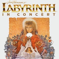 Labyrinth In Concert merchandise