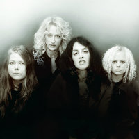 Lez Zeppelin merchandise