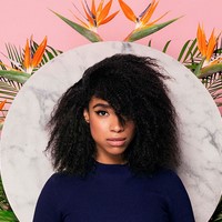Lianne La Havas merchandise