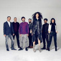 Oi Va Voi merchandise