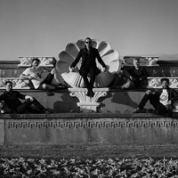 Pigs Pigs Pigs Pigs Pigs Pigs Pigs merchandise