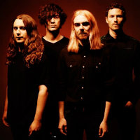 Pulled Apart By Horses merchandise