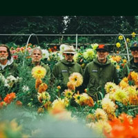 Super Furry Animals merchandise