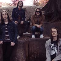 The Datsuns merchandise