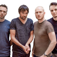 The Pineapple Thief merchandise