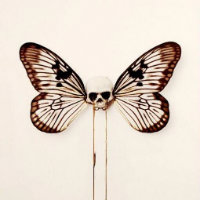 Underside merchandise