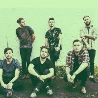 Veridian merchandise