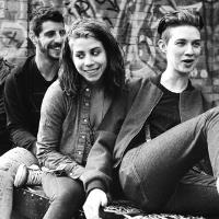 Vuvuvultures merchandise