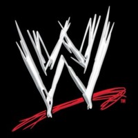 Wwe merchandise