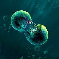 Yeast Nation merchandise