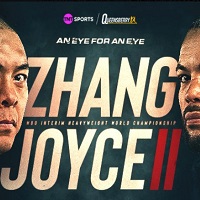 Zhang V Joyce merchandise