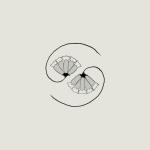 Godspeed You Black Emperor